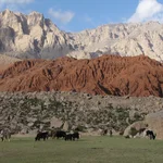 Animals in a mountain landscape