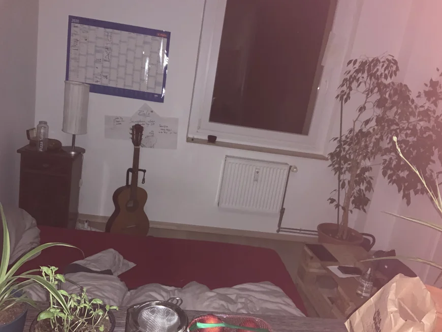 Ansicht eines Zimmers. Es gibt Topfplanzen, eine Matratze auf dem Boden, eine Gitarre, ein Wandkalender und ein Tisch aus zwei STapelpaletten