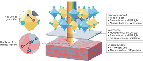 Figure 1 of Brinkmann Nat Rev Mater 2024