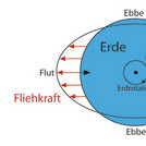 Grafik zur Ebbe und Flut