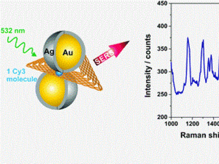 DNA origami assembled nanoparticle dimer along with a SERS spectrum