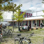 Vom Fahrradstellplatz bis zur Dachbegrünung: Die Universität setzt sich für Klimaschutz ein.