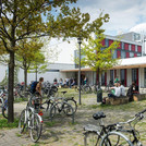 Vom Fahrradstellplatz bis zur Dachbegrünung: Die Universität setzt sich für Klimaschutz ein.