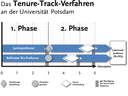 Grafik zu den zwei Phasen des Tenure-Track-Verfahrens bei Juniorprofessuren und befristeten W2-Professuren an der UP