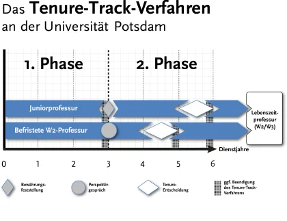 Grafik zu den zwei Phasen des Tenure-Track-Verfahrens bei Juniorprofessuren und befristeten W2-Professuren an der UP