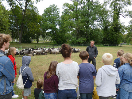 Das Bild zeigt Jakob Schulz, der an der Universität Potsdam Ökologie und Naturschutz studierte und über die Auswirkungen der weidenden Schafe auf die Vegetation seine Masterarbeit geschrieben hat. Das Bild ist von J. Potratz. Beim Anklicken öffnet sich das Foto in neuem Fenster.