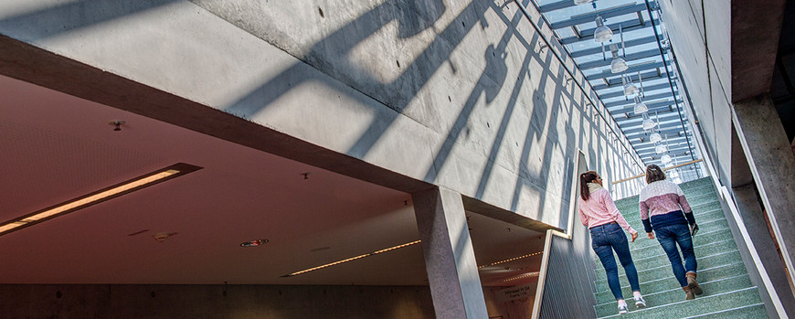 Studierende steigen die Treppen hoch am Campus Griebnitzsee