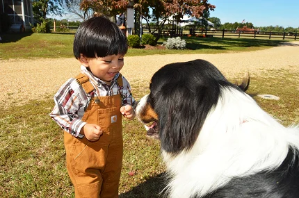 Kind mit Hund