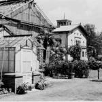 Greenhouse and the botany building of the College of Education, 1960s