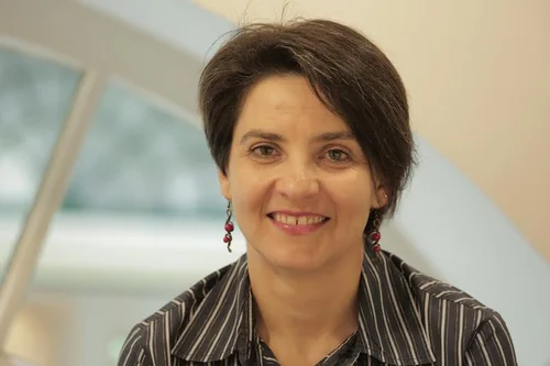 Portrait Prof. Petrescu