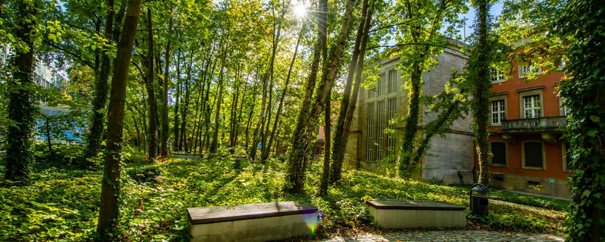 Zwei Bänke vor Bäumen, dahinter das Portal eines großen Hauses