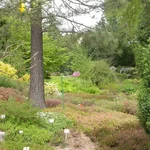 Heidegarten
