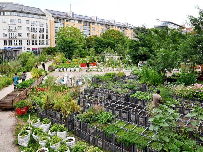 Prinzessinnengarten in Berlin Kreuzberg
