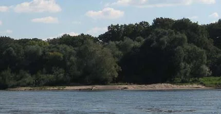 Flusslandschaft