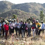 Bodenkundliches Feldtraining zur Anwendung internationaler Bodenklassifikationsstandards unter Leitung internationaler Experten, Kamerun 2018.