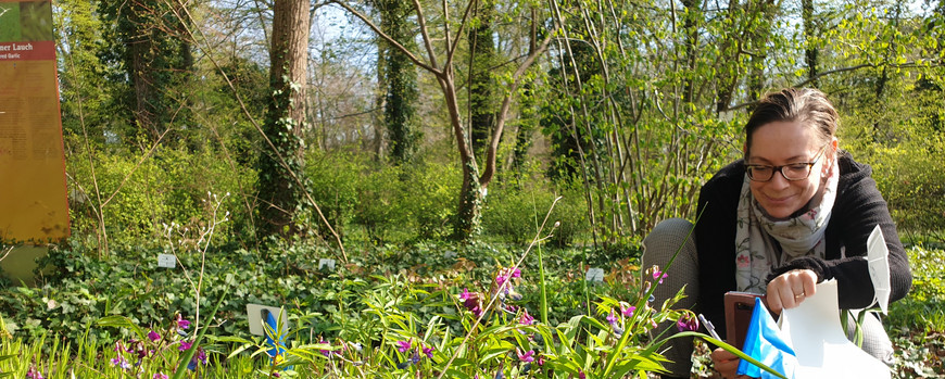 woman in a field of blossoms in front of trees