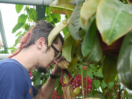 Herr Ramm im Botanischen Garten