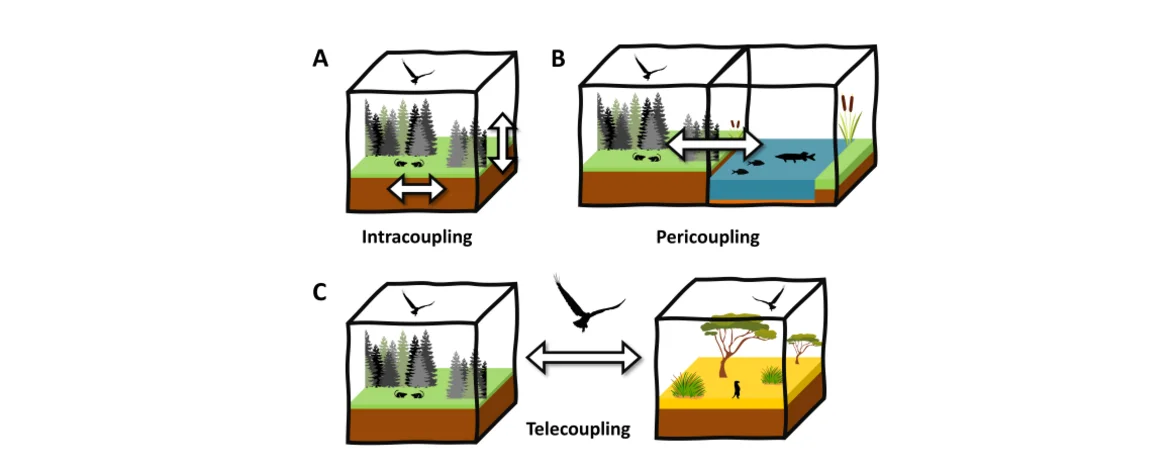Squares illustrating different ecosystems 