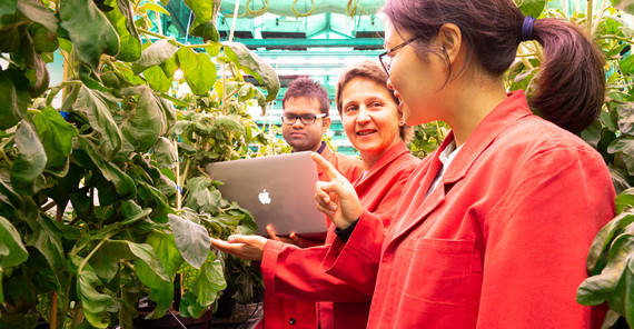 Dr. Katrin Czempinski with doctorate candidates from „CropStrengthen“. Photo: Karla Fritze.