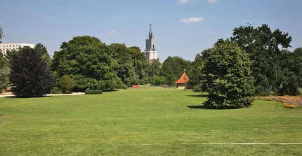 Ein Blick auf die große grüne Wiese am Eingang der Freundschaftsinsel. Im Hintergrund Bäume und vereinzelt Gebäude.