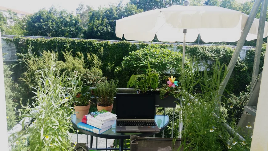 Laptop auf Tisch auf Balkon mit sehr vielen Pflanzen