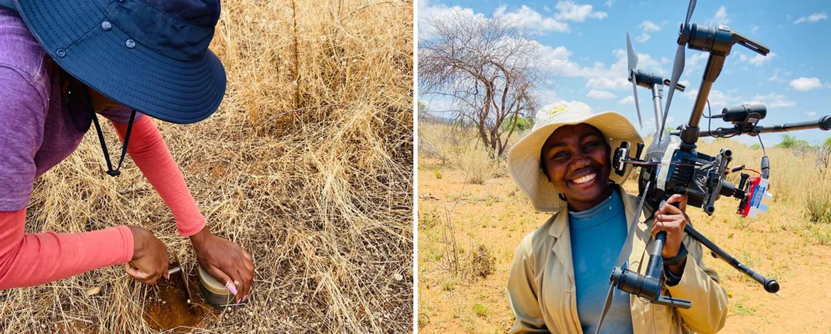 A Phd student collecting a soil seed bank sample and another PhD student holding a drone in her hand with a savanna rangeland in the background