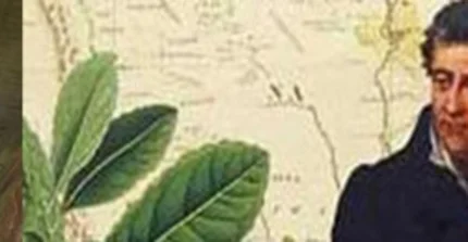 Portraits von Humboldt und Bonpland