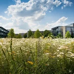 Feldforschung: naturwissenschaftlicher Campus Golm in ländlicher Umgebung