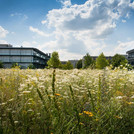 Feldforschung: naturwissenschaftlicher Campus Golm in ländlicher Umgebung