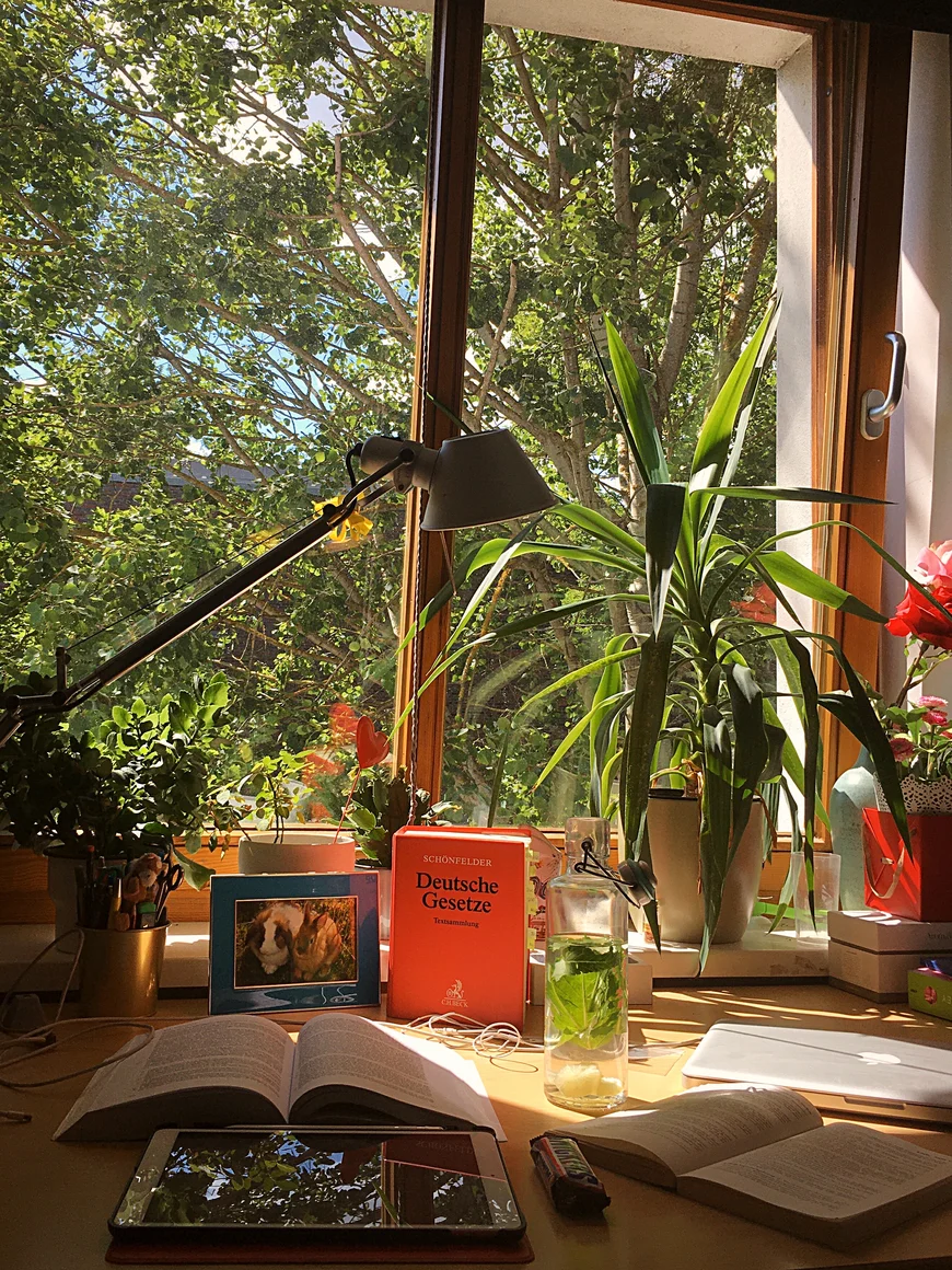 Schreibtisch mit Planzen und Blick durch ein Fenster ins Grüne