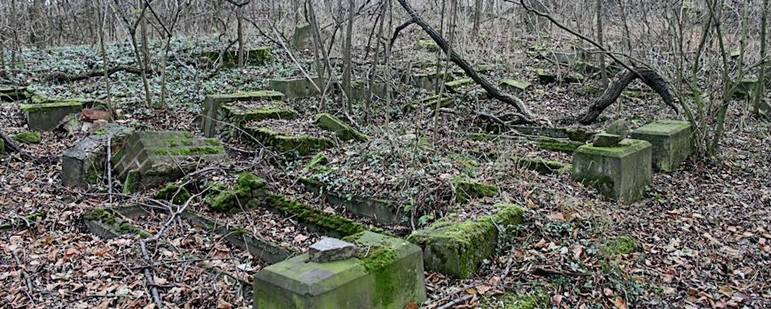 Belegungsreihen auf dem Friedhof der Zielenziger Juden