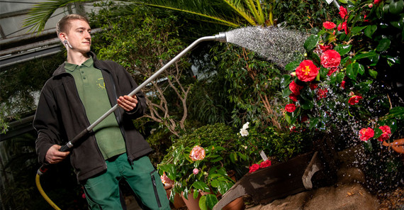 Für Kiron Wahl ist die Arbeit im Botanischen Garten ein Privileg. | Foto: Thomas Roese