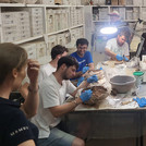Teilnehmende der Summer School in der Werkstatt bei Freilegearbeiten.
