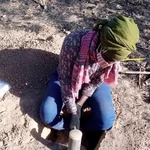 Gannouka in the field