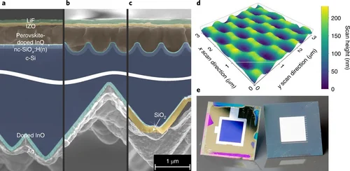 Figure 1 of Tockhorn Nat Nanotech 2022