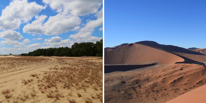 the pictures show desert landscapes