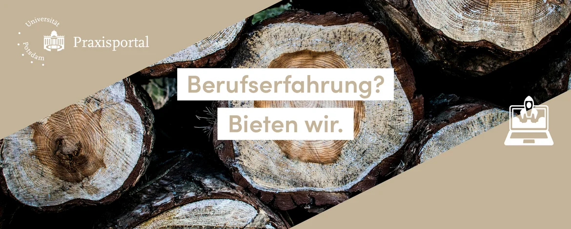 Berufserfahrung? Bieten wir. - 