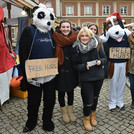 Weihnachtsmarkt der Universität Potsdam