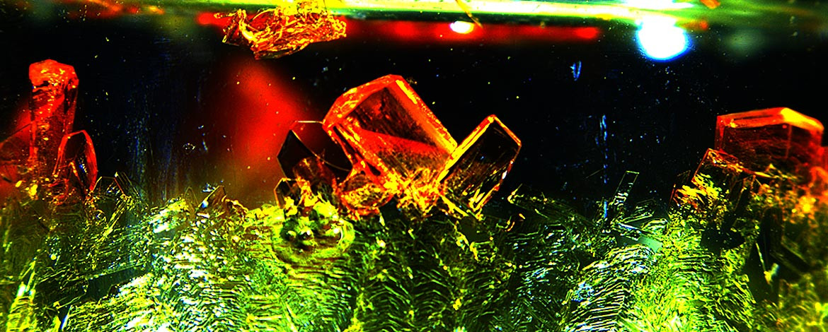 Image of the single crystals of a metal-containing ionic liquid (IL) - AK Taubert - zur Röntgenkristallographie