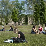 Campus meadow, 2011