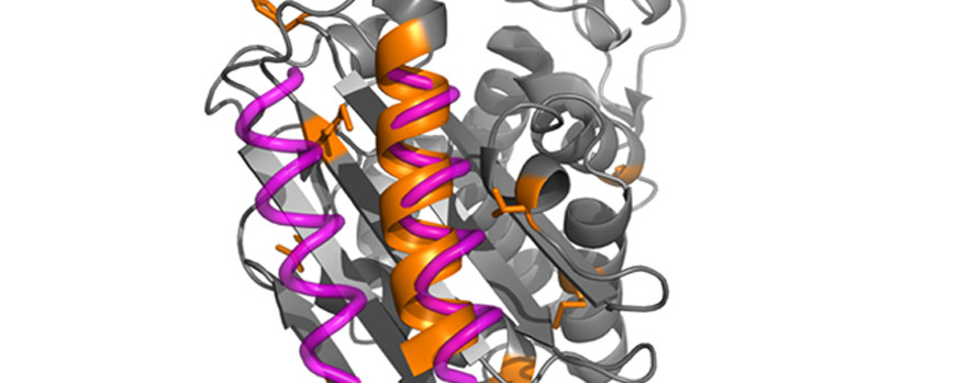 Image of a molecular combination