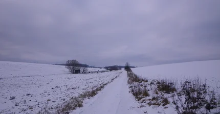 Integriertes Wasserressourcenmanagement in landwirtschaftlich geprägten Landschaften
