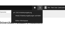 Screenshot TYPO3-Backend mit Auswahl der LIVE-Arbeitsumgebung