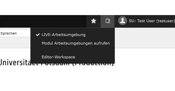 Screenshot TYPO3-Backend mit Auswahl der LIVE-Arbeitsumgebung