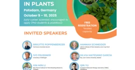 PhenPlasPlants Flyer 2025