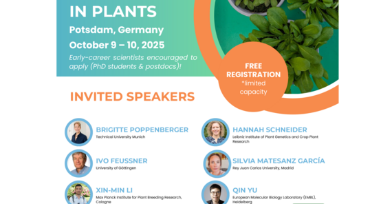 PhenPlasPlants Flyer 2025