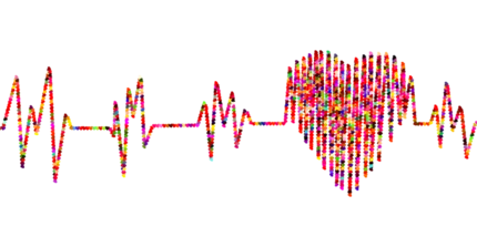 Gesundheitsmanagement der Universität Potsdam