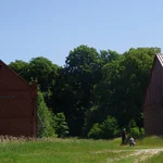 grass, in front of woods