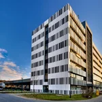 Zebra oder Barcode? Nach der Sanierung ist der alte Plattenbau in Golm kaum wiederzuerkennen.