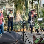 Treibauseffekte: Geowissenschaftliche Geländeübung in den Gewächshäusern des Botanischen Garten